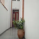Domoswhite *